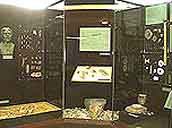 Archeological exhibition